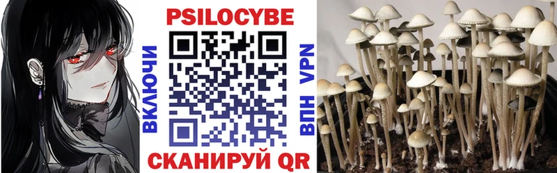 Галлюциногенные грибы Psilocybe  Великий Новгород 